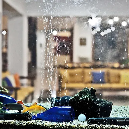 Aeolos Bay 3* Tínos